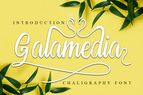 Galamedia: Elegant Handwritten Font